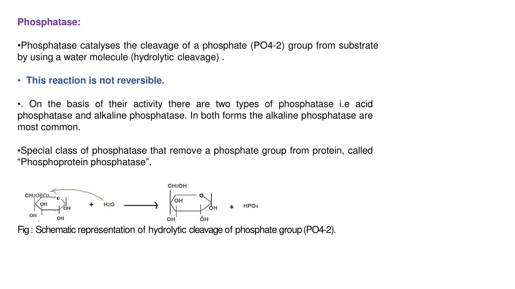 phosphatase