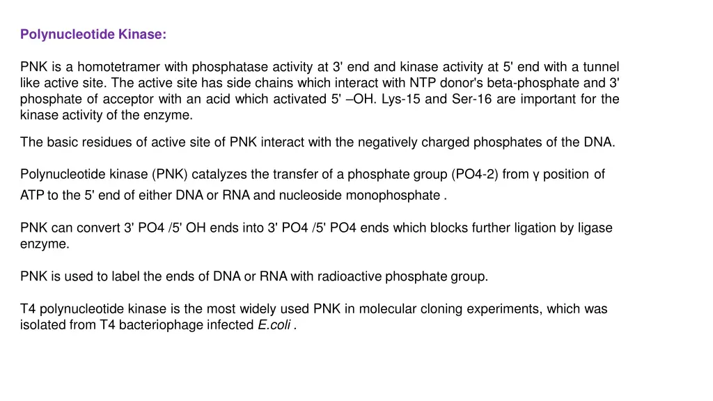 polynucleotide kinase