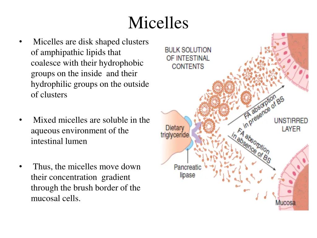 micelles 1