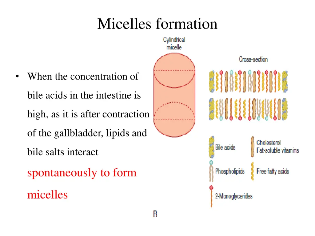 micelles formation