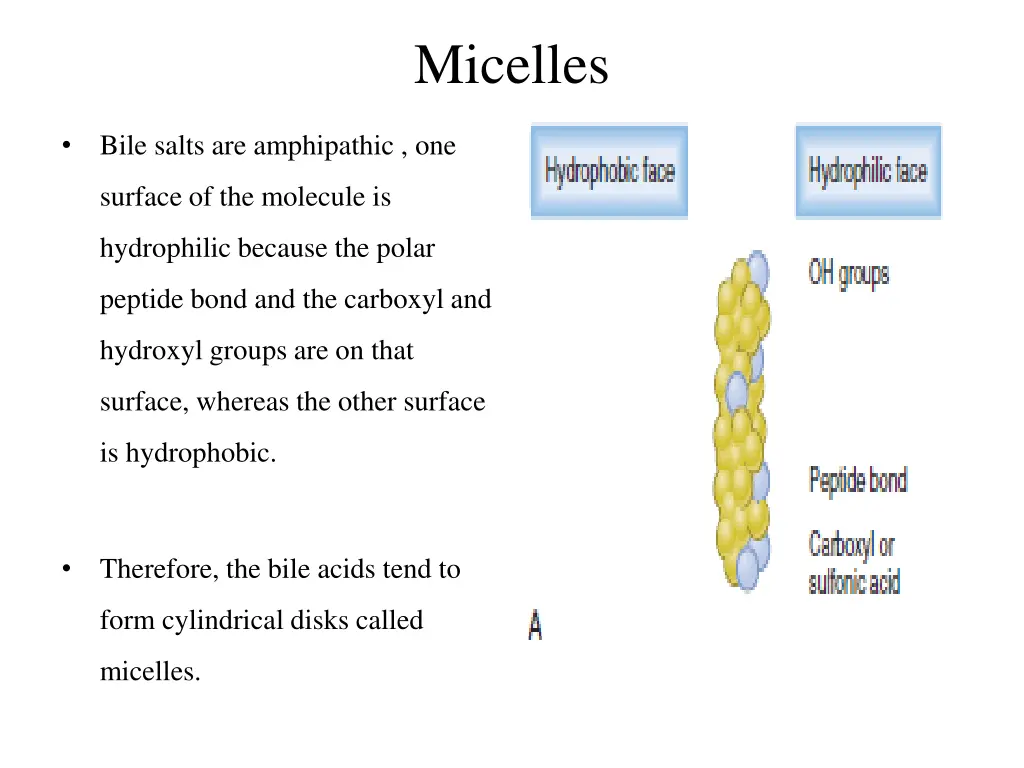 micelles