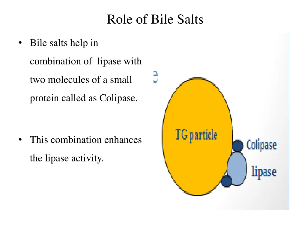 role of bile salts