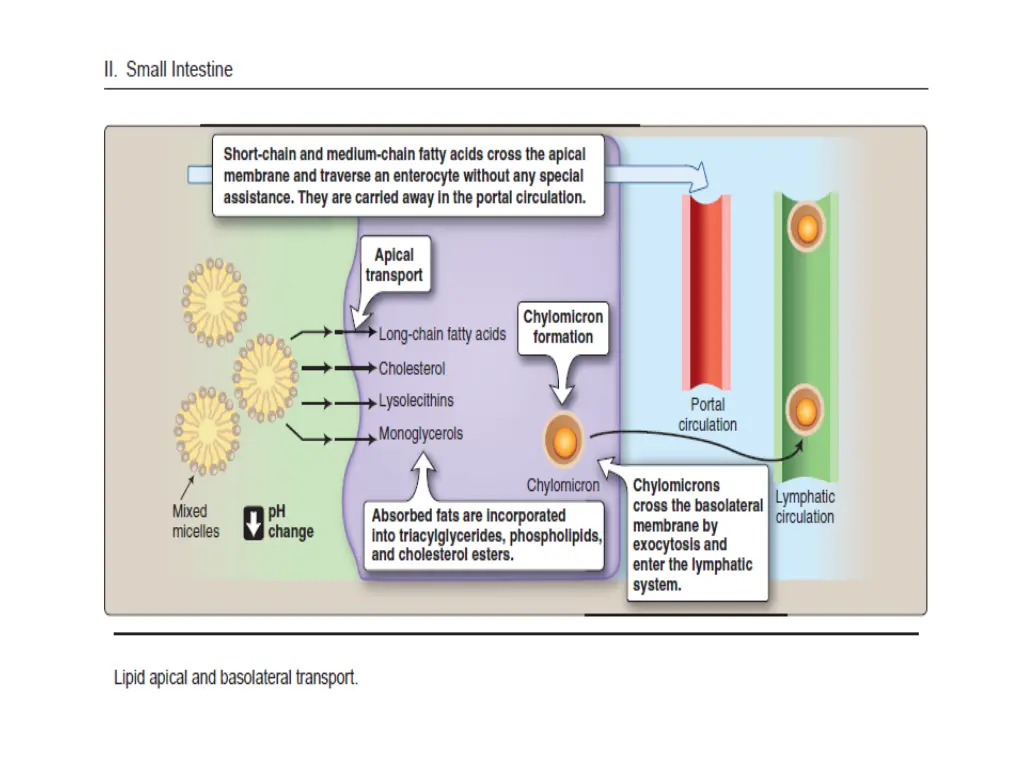 slide30