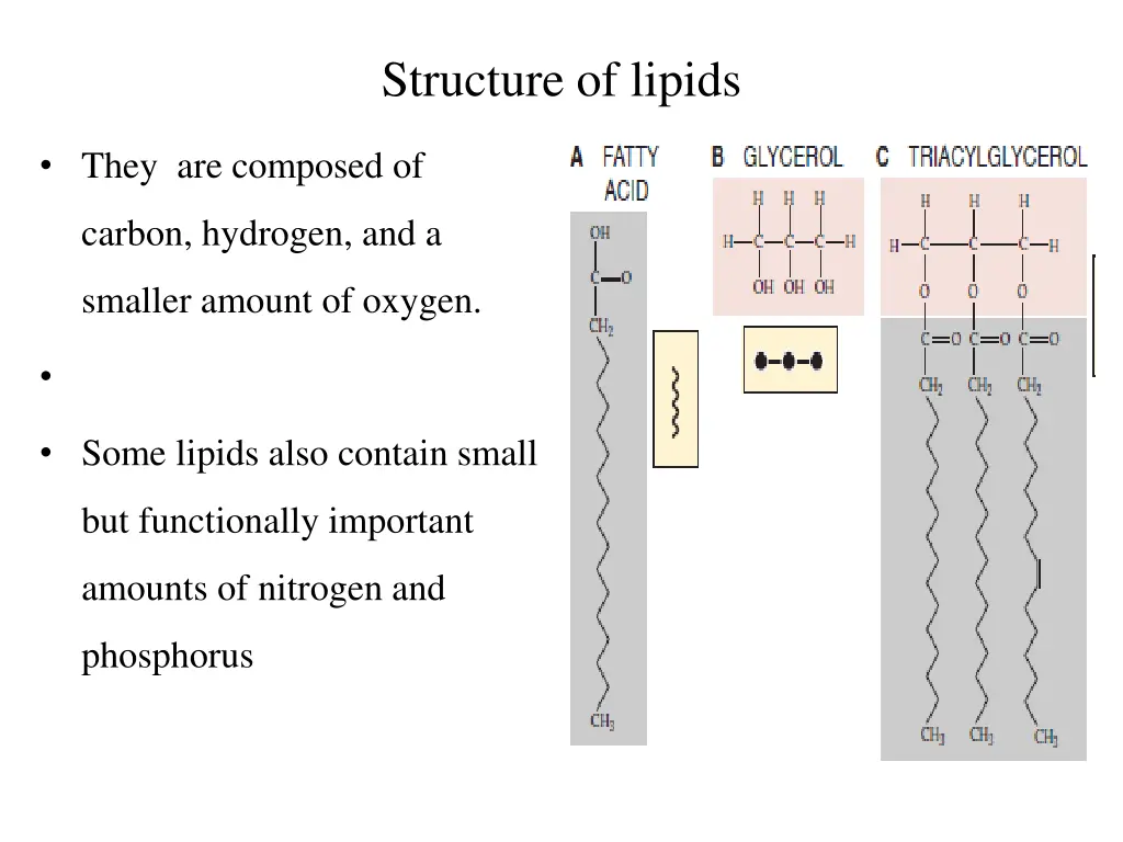 structure of lipids