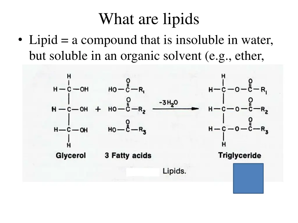 what are lipids