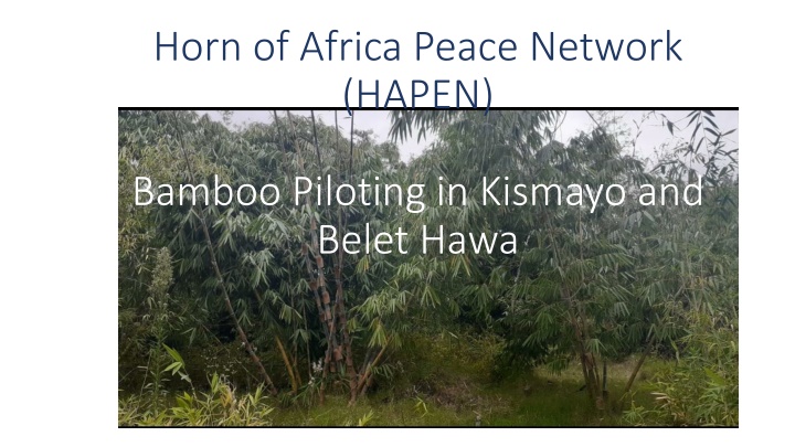 horn of africa peace network hapen