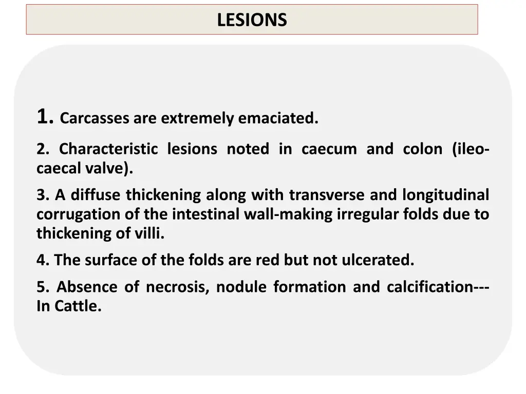 lesions