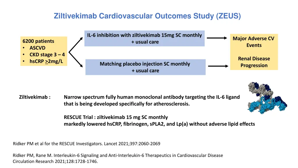 ziltivekimab cardiovascular outcomes study zeus