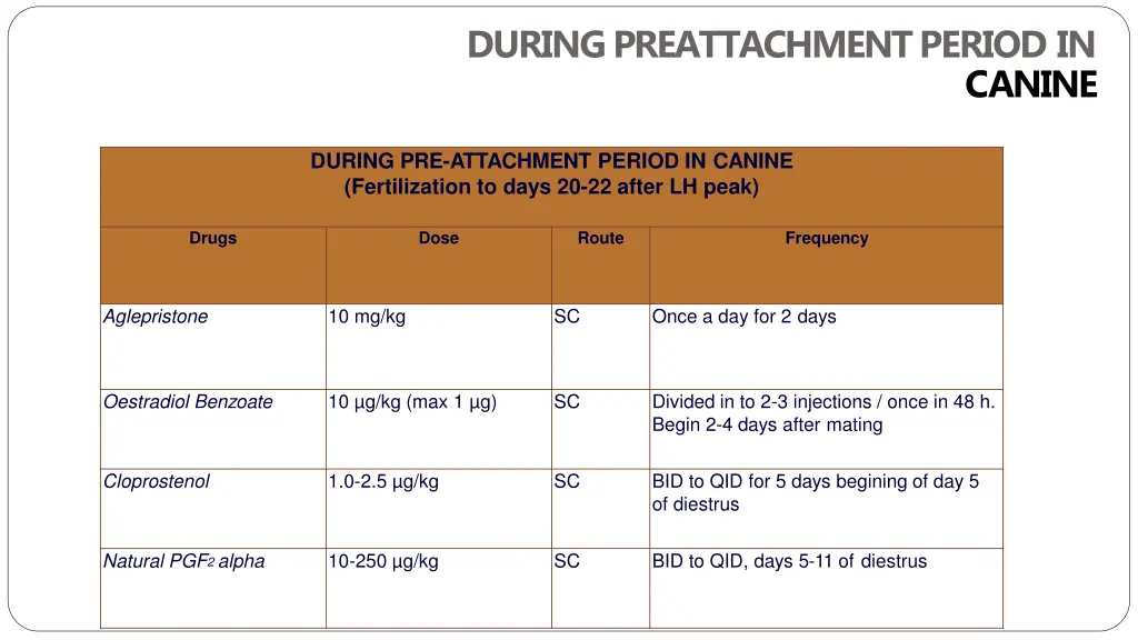 during preattachment period in