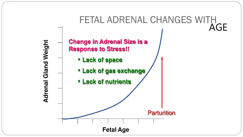 fetal adrenal changes with