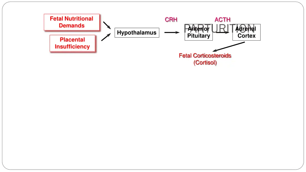 fetal nutritional demands