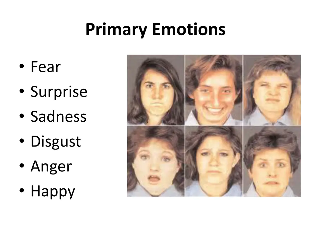 primary emotions