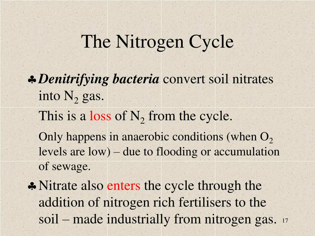 the nitrogen cycle 2