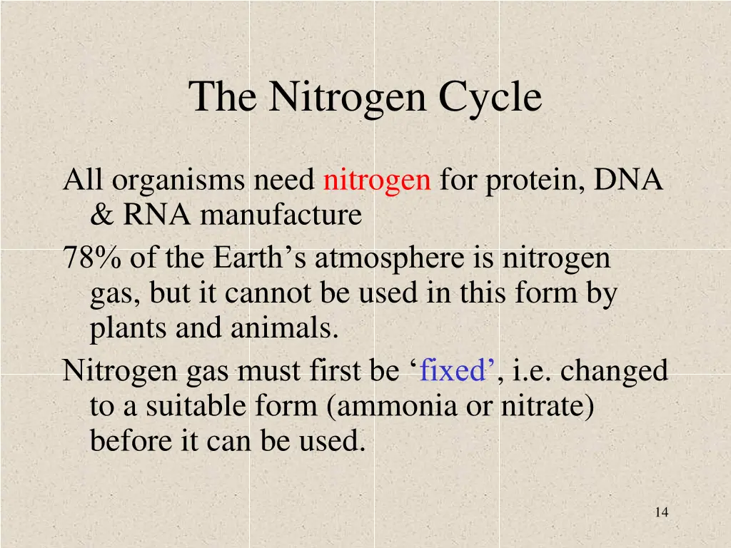 the nitrogen cycle