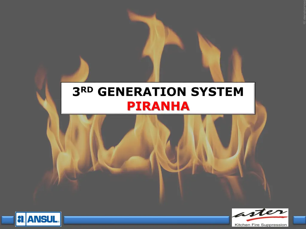 3 rd generation system piranha