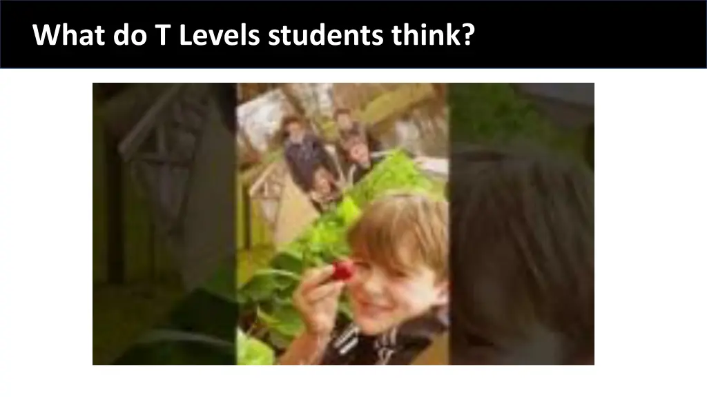 what do t levels students think