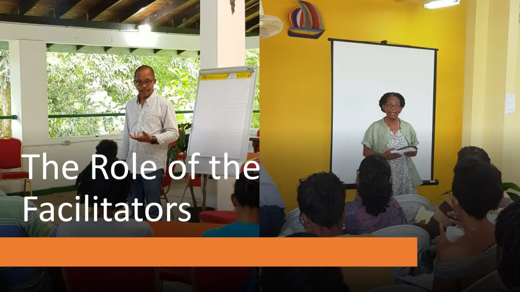 the role of the facilitators