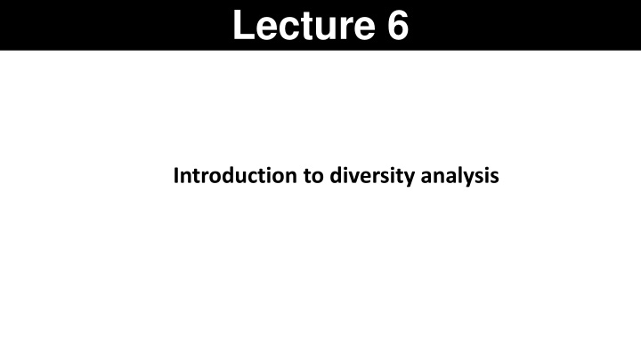 lecture 6