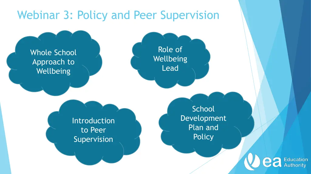 webinar 3 policy and peer supervision