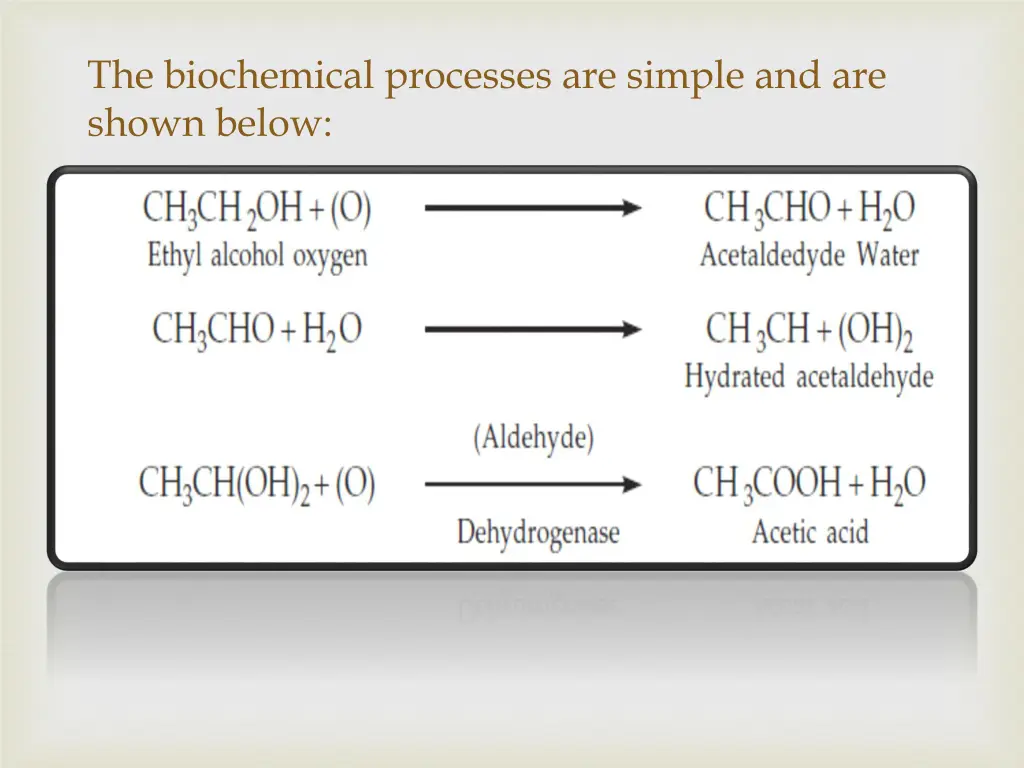 the biochemical processes are simple