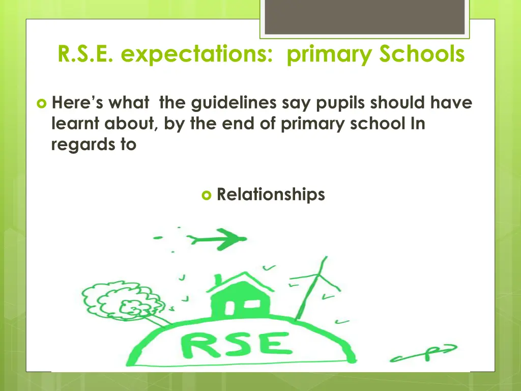 r s e expectations primary schools