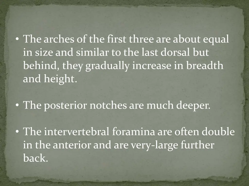 the arches of the first three are about equal