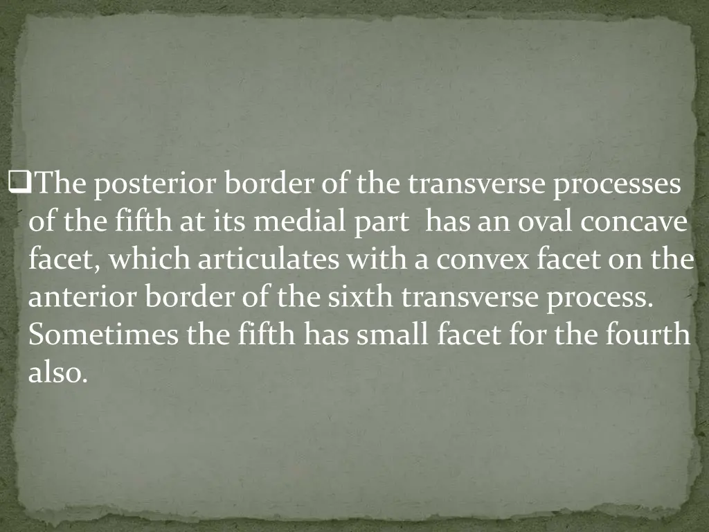 the posterior border of the transverse processes