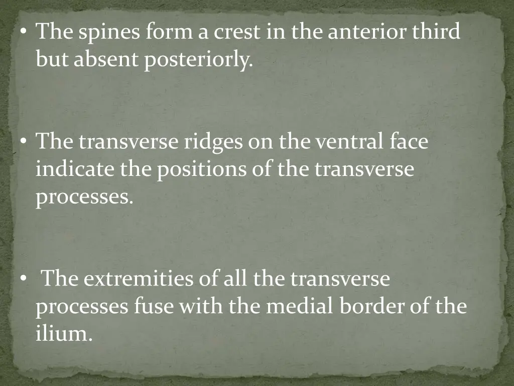 the spines form a crest in the anterior third