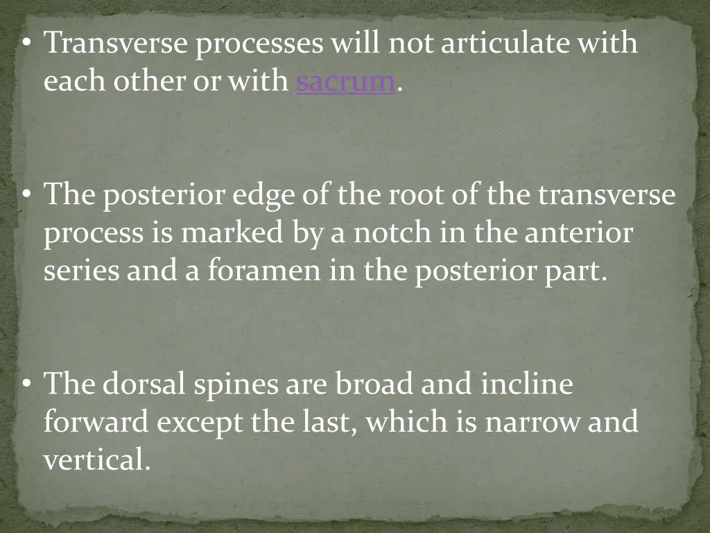 transverse processes will not articulate with