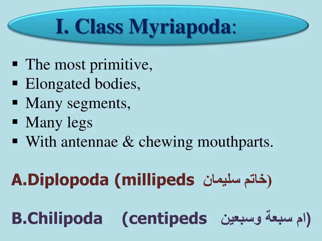 i class myriapoda