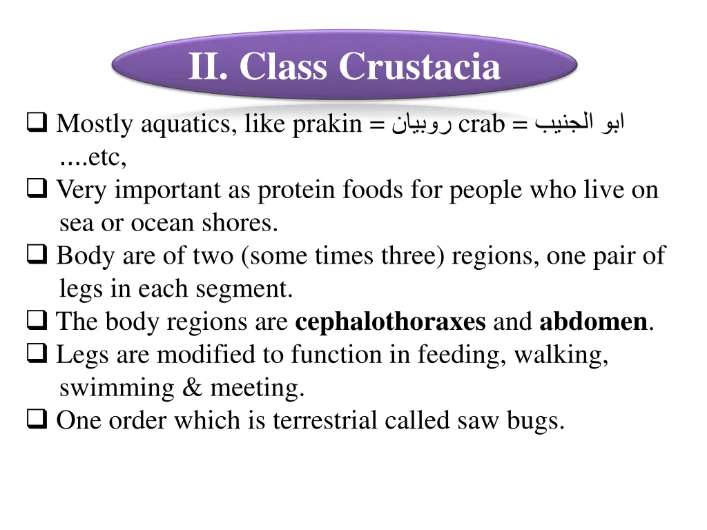 ii class crustacia