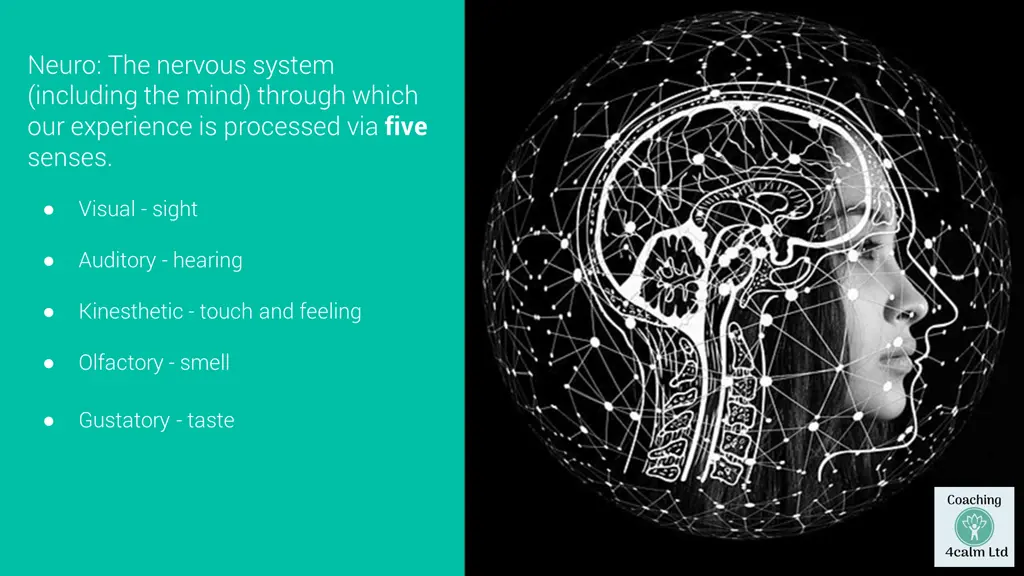 neuro the nervous system including the mind