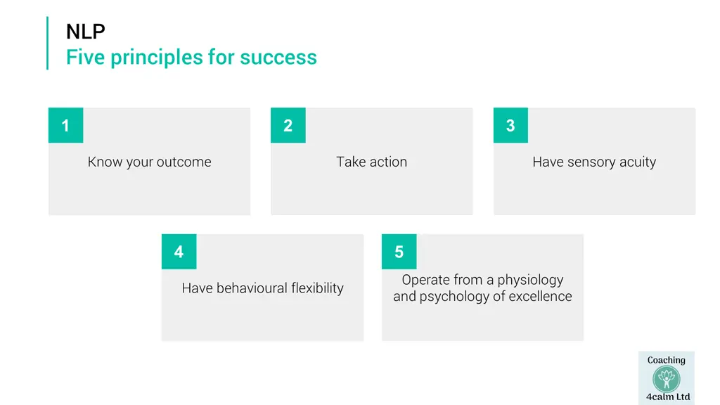 nlp five principles for success