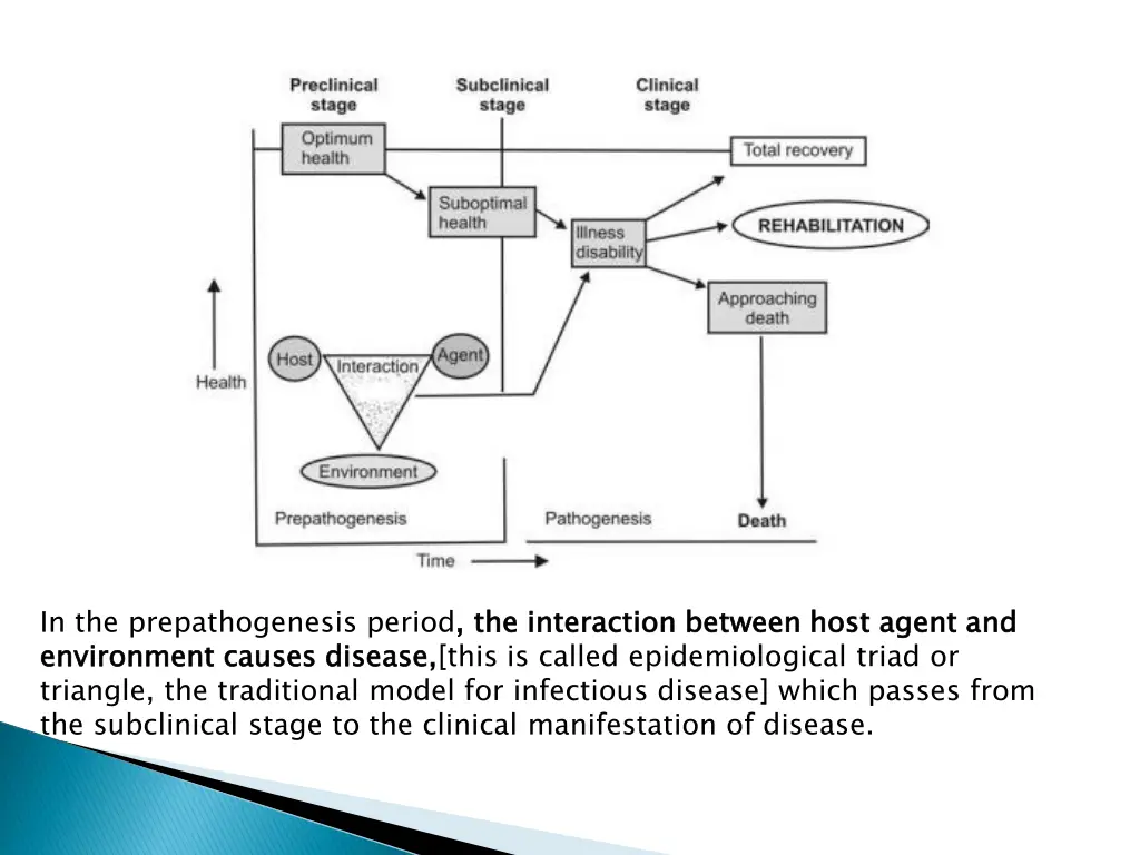 in the prepathogenesis period the interaction