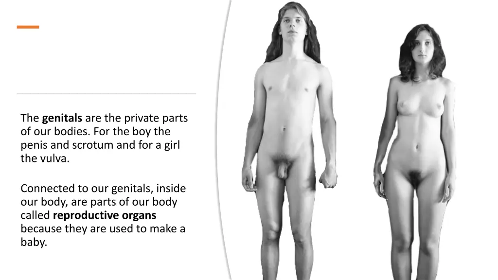 the genitals are the private parts of our bodies