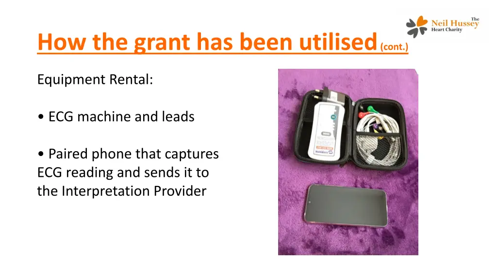 how the grant has been utilised cont