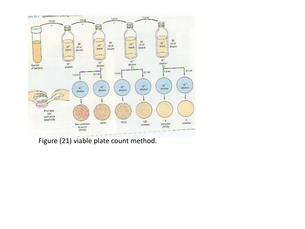 figure 21 viable plate count method