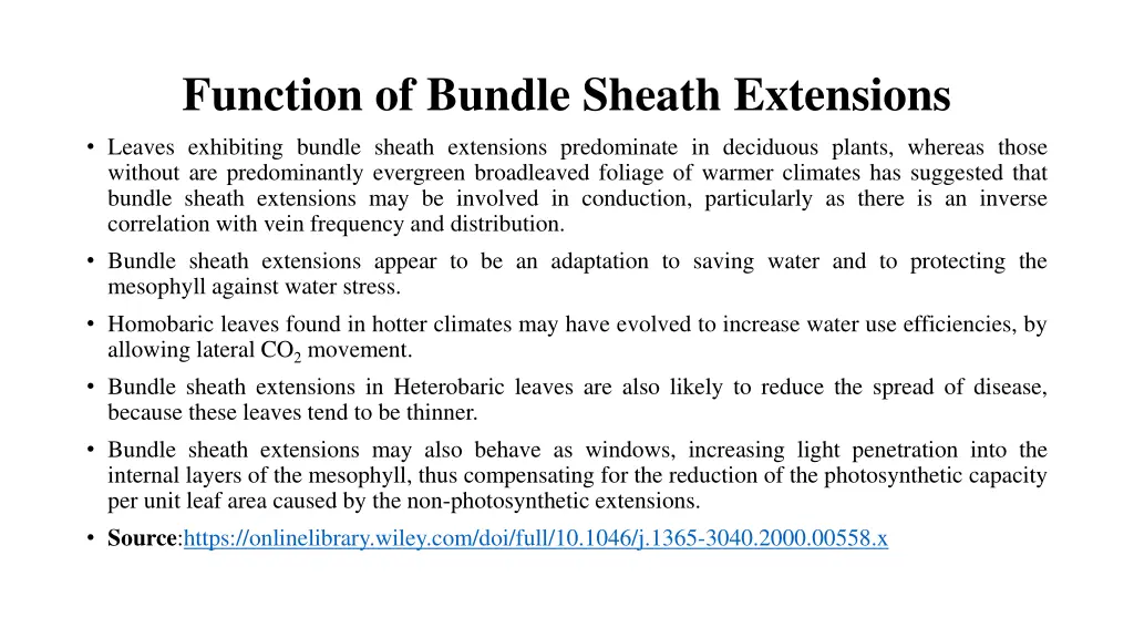 function of bundle sheath extensions