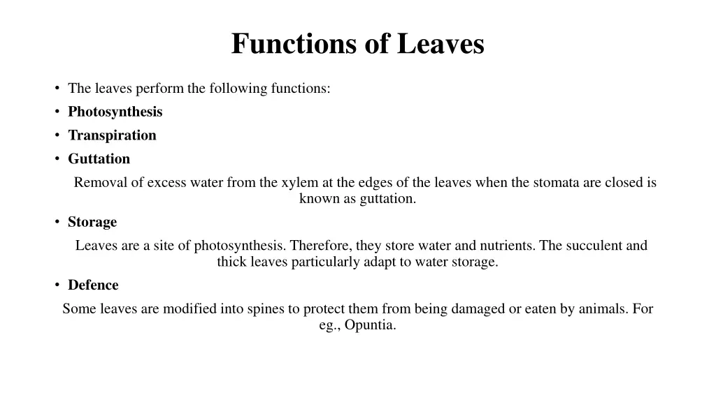 functions of leaves