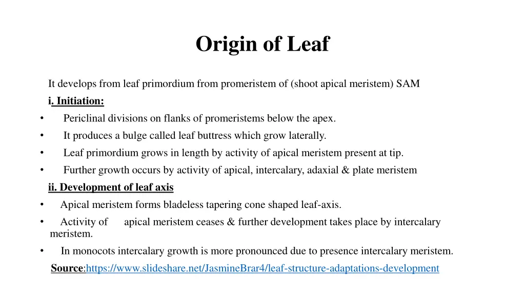 origin of leaf