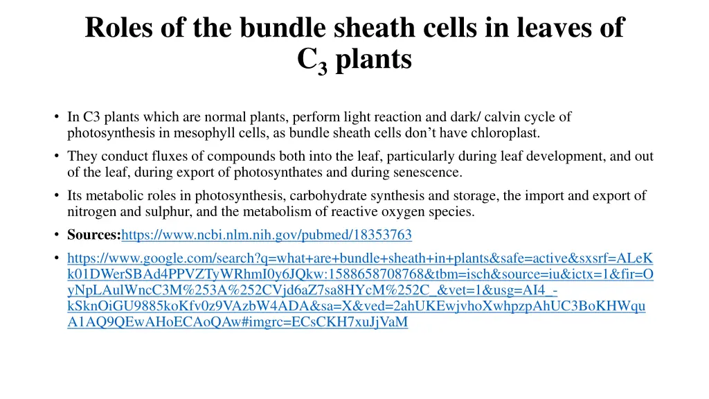 roles of the bundle sheath cells in leaves