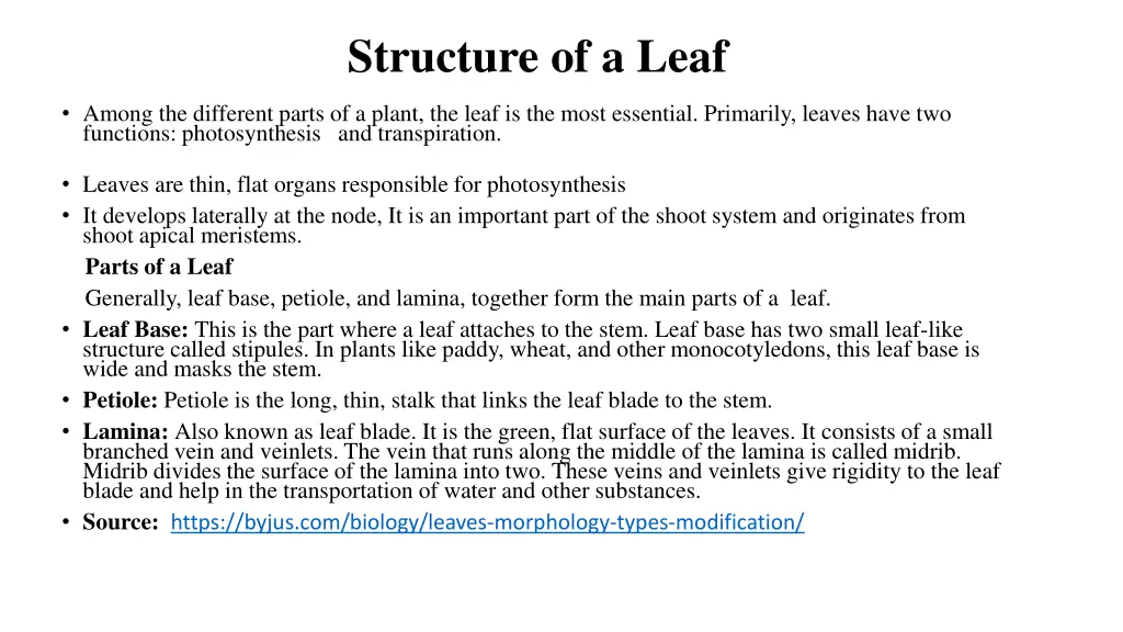 structure of a leaf