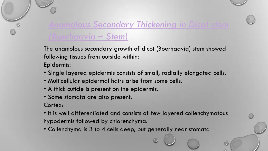 anomalous secondary thickening in dicot stem