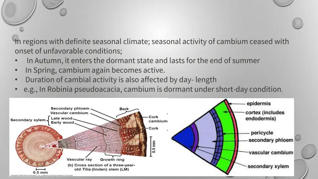 in regions with definite seasonal climate