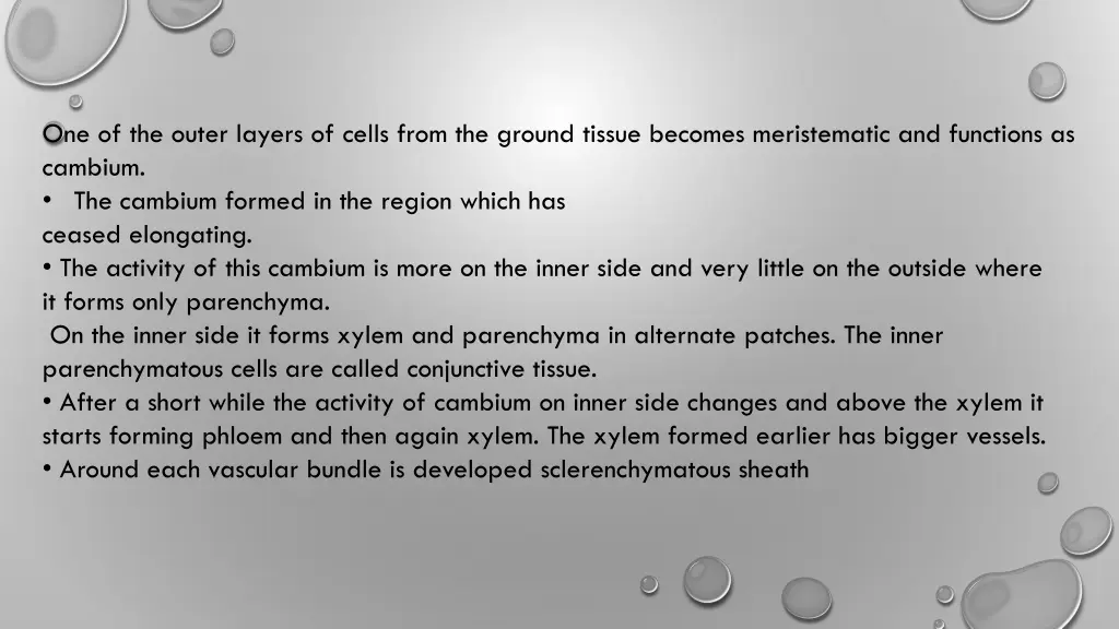 one of the outer layers of cells from the ground