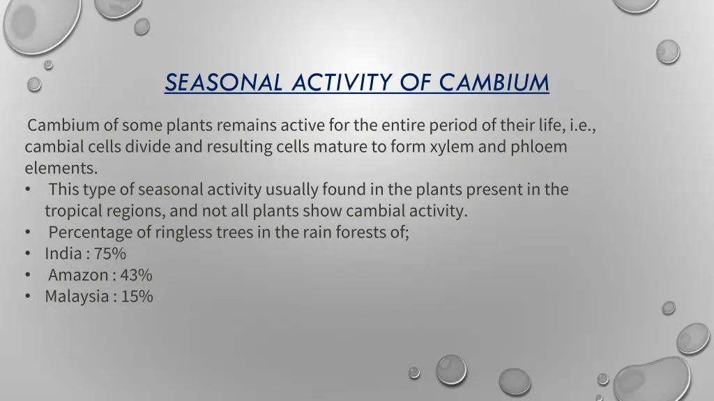 seasonal activity of cambium