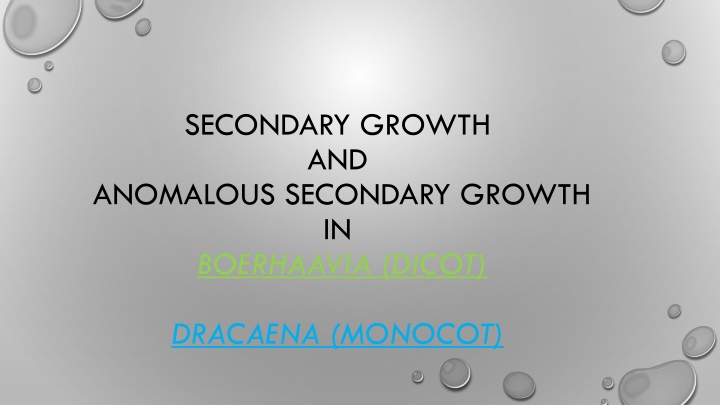 secondary growth and anomalous secondary growth