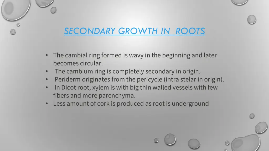 secondary growth in roots