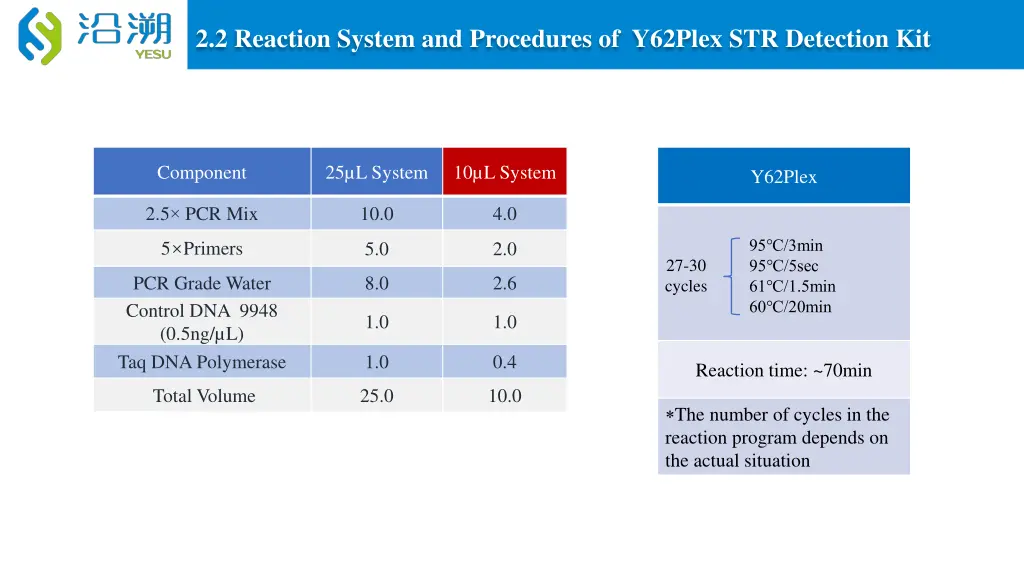 2 2 reaction system and procedures of y62plex