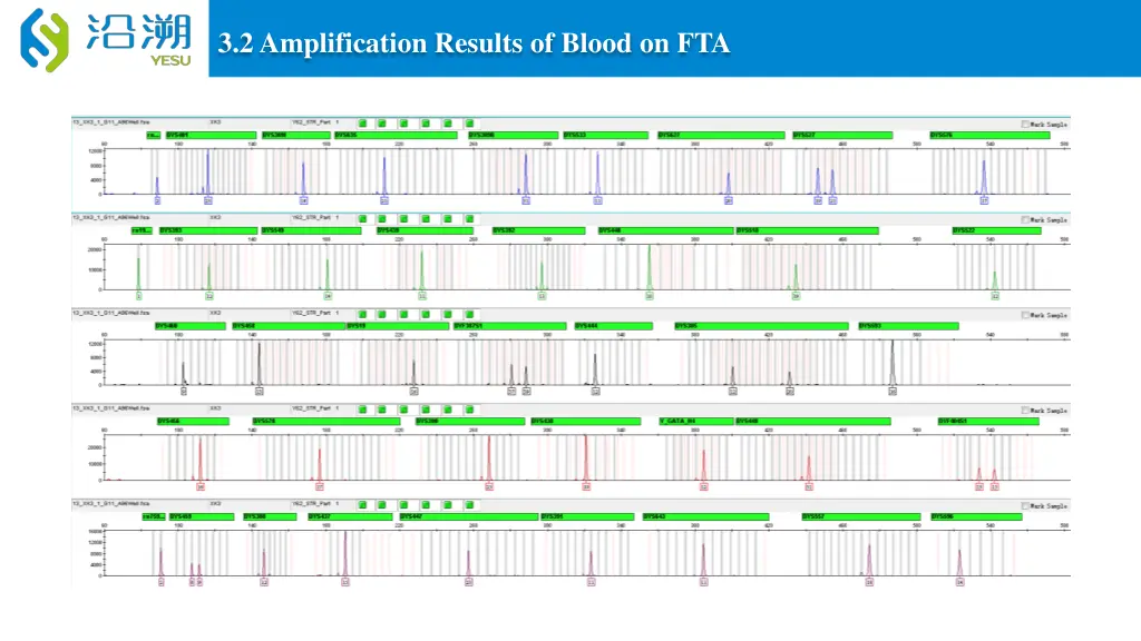 3 2 amplification results of blood on fta